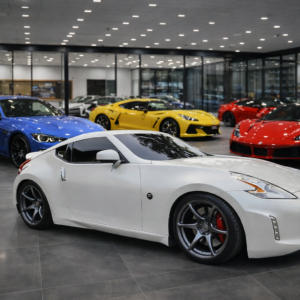 Arte Digital VIP Sobre Ruedas FL